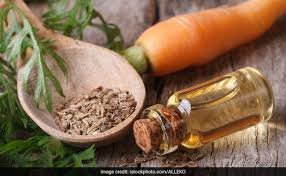 Carrot Seed Oil